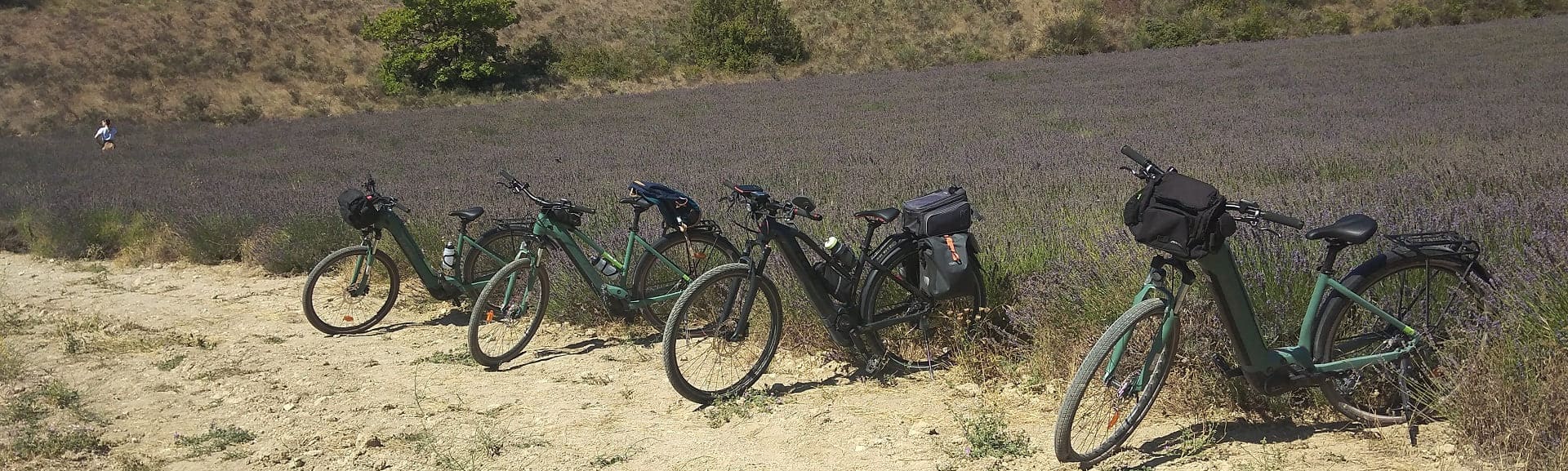 La Provence à vélo Vaucluse en vélo sur route, Terre de Passion